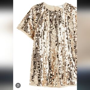 H&M Gold Sequin Dress Girls (5T)